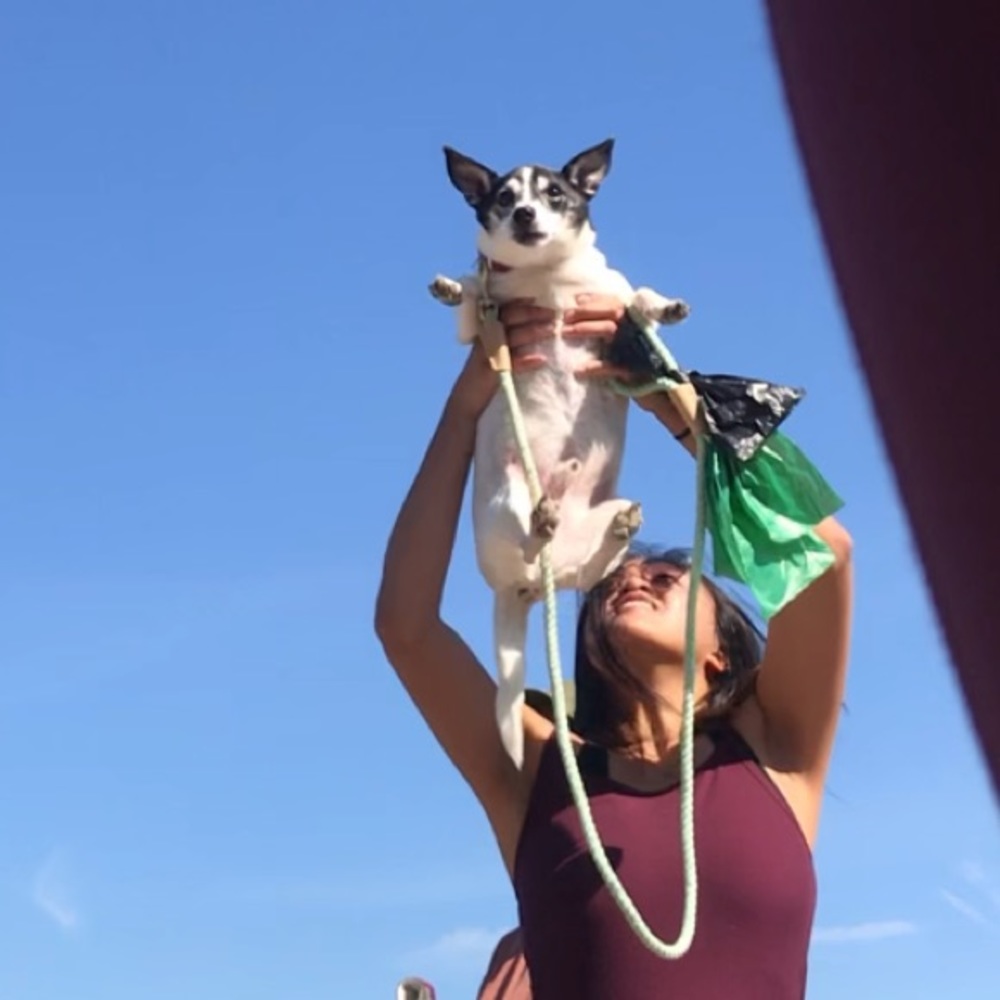 Meet your Posher, Rainey